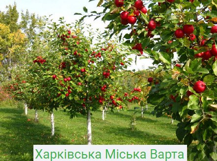 охрана садов