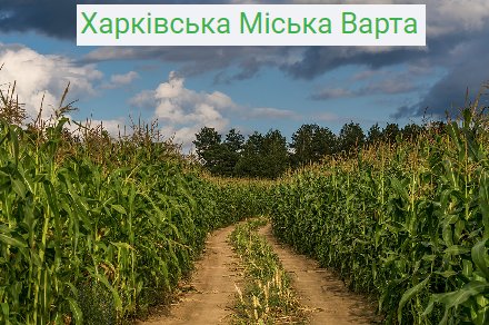охрана территории поля